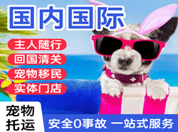 三源浦机场快递国际宠物托运 【国